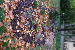 dscf2597