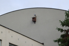 dscf2569